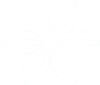 白色抽象标志