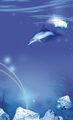 梦幻爱情海水族馆名片