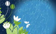 清爽型白色雨点艺术名片