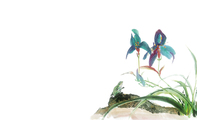 花鸟风藏蓝色山水类名片