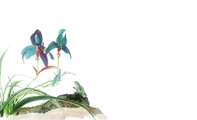 花鸟风藏蓝色山水类名片