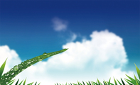 清新蓝色天空文化名片