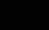 黑夜中绽放一簇百合花装饰名片
