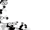 经典型黑白花纹艺术名片