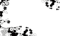 经典型黑白花纹艺术名片