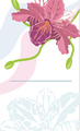 艳丽花卉名片
