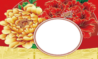 中国牡丹色富贵大气食品名片