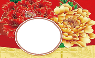 中国牡丹色富贵大气食品名片
