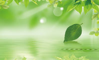 自然绿叶水纹绿色环保名片