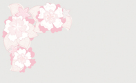 花簇淡粉淑女服饰名片