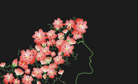 梦想风花仙子艺术名片