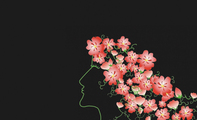 梦想风花仙子艺术名片