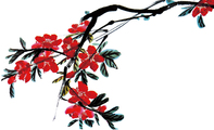 茶花白色销售名片