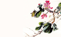 水墨花鸟销售名片