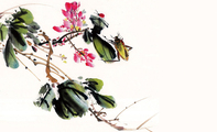 水墨花鸟销售名片