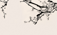 水墨梅花白色销售名片