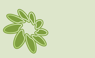绿色螺旋花纹