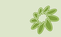 绿色螺旋花纹