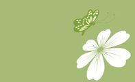 绿色蝴蝶花
