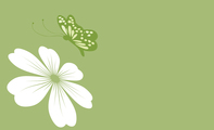 绿色蝴蝶花