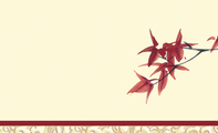 枫叶名片