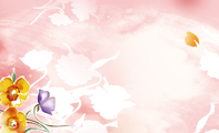粉红花卉