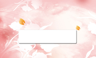 粉红花卉