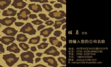 潮范sss;董事长;地址:上海市漕宝路2999弄88楼1号;电话:358***35;手机:135*****388;传真:0591-*****678;...