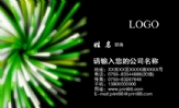 弘立書院;學生;地址:香港薄扶林鋼綫灣道一號;電話:00852-*****239;手機:00852-*****107 ;電郵:william*...