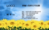 三三四四网络技术;技术总监;地址:北京市海淀区西三环北路50号院豪柏国际A1座705室;电话:0591-*****678;手...