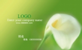 Enter your company name ;LOGO ;职务;www.888888.com ;请输入您的公司名称 ;地址:XX市XX区XXX...