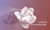 Enter your company name ;LOGO ;电话:0754-837***11;地址:广东汕头;传真:0754-837***11;林秀容;...