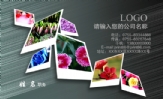 三三四四网络技术;职务;bs;电话:0591-*****678;传真:0591-*****678;电邮:abc@3344cn.com;网址:www.3344...