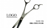 美 容 美 发;NAME ;董事长;黄先生;LOGO ;3344 Network Technologies Co., Ltd.;地址:菜市口 电...