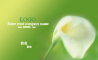 Enter your company name ;LOGO ;职务;www.888888.com ;请输入您的公司名称 ;地址:XX市XX区XXX...