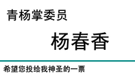 委员;青杨掌委员;杨春香;希望您投给我神圣的一票