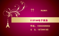 VISFAN电子商务;手机：156*****852;Q  Q：***344185;王飞;网店顾问;请输入文字