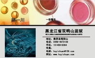 HEILONGJIANGSHENGSHUANGYASHANJIANYU;一级警员;地址:集贤县笔架山;电...