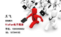 VisFan电子商务;咨询顾问;手机:156*****852;QQ:***344185;请输入文字