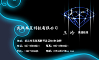 武汉禹星科技有限公司;渠道经理;地址：武汉市东湖高新开发区SBI创业街;电话：027-*****931;手机：159***...