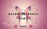 莱芜市莱城区海通电子有限公司;常务副总;电话：0634-*****62;地址：莱芜市莱城区石花园美食东街;海通电子;邮...