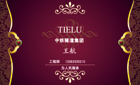 中铁隧道集团;工程师;133*****210;TIELU;为人民服务;地址:河北省赤城县;邮编:353303;电邮:254204**...
