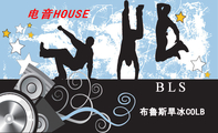 布鲁斯旱冰COLB;B L S;电音HOUSE;手机:151***8613;地址:黑龙江省七台河市区七采城;传真:046...