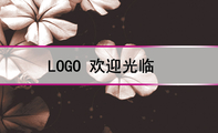 LOGO 欢迎光临;姓名 曾勇;职务 ;LOGO ;手机:151*****478;精品时装