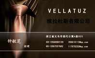 经理;浙江省义乌市现代公寓A座603;86-135*****156;86-135*****882;358818***@qq.com;117675***@qq.com;VE...