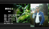 醉卧红尘;服务;地址:中国四川遂宁射洪城北;电话:0825.000***0;手机:135*****769;传真:0825.000***0;abc...
