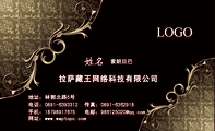 拉萨藏王网络科技有限公司;索朗旦巴;地址:林郭北路5号;电话:0891-*****12;手机:187*****675;传真:0891-...