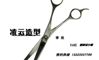 预约热线 132*****766;NAME ;首席设计师;李 欣;凌云造型;手机:132*****766;电话:0353-*****77;传真:...