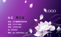 地址:辽宁省铁岭市西丰县;电话:157*****886;手机:187*****466;QQ:***52653;网址:www.54952***@qq.co...