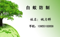白 蚁 防 制;手机:139*****858;3344 Network Technologies;Name;Duty;Address:NO.X XX ROAD...